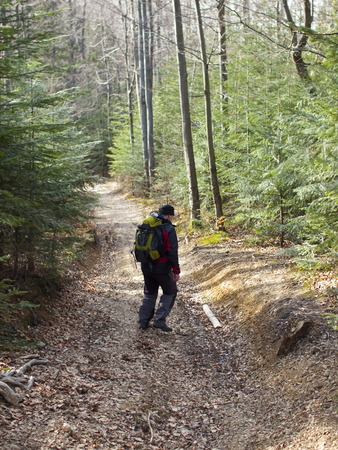A man with a backpack walking through the forest one.の写真素材