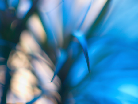 Beautiful bokeh flower. Abstract Background bokeh effect with defocused lights. Abstract flower background, defocused flowers in motion with space for text.の写真素材