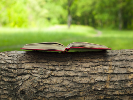 Opened old book lies on a branch with a beautiful crust.の写真素材