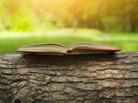 Opened old book lies on a branch with a beautiful crust.の写真素材