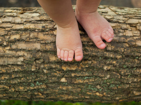 Legs of a young child standing on a branch of a big treeの写真素材