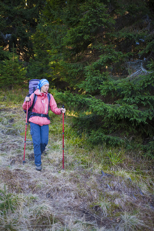 The girl with the backpack goes through a coniferous forest.の写真素材
