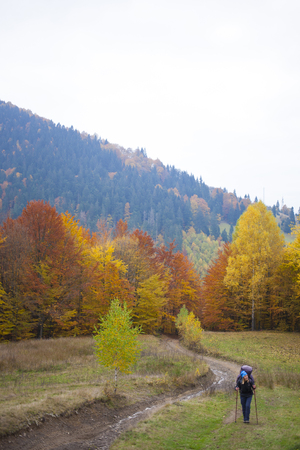 The girl with the backpack is walking through the autumn woods.の写真素材