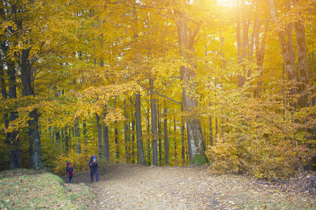 Two girls with backpacks coming through the forest.の写真素材