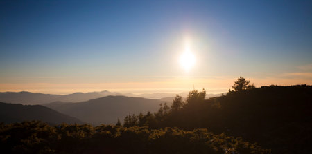 The forest on the background of a beautiful sunset in the Ukrainian Carpathians.の写真素材