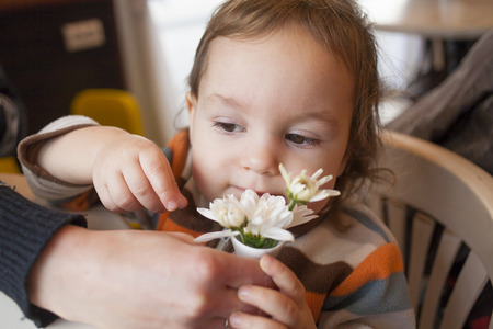 Little boy smelling the flower in the hands of the mother.の写真素材