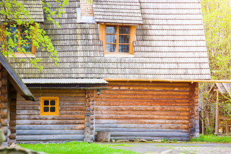 The house is made of wood standing on the edge of the forest.の写真素材