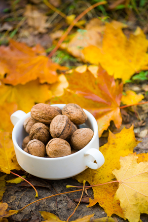 The walnut bowl is on the yellow and orange leaves.の写真素材