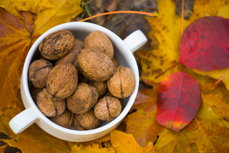The walnut bowl is on the yellow and orange leaves.の写真素材