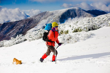 girl with dog walking on the trail in the mountains, winter in the mountains.の写真素材
