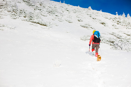girl with dog walking on the trail in the mountains, winter in the mountains.の写真素材