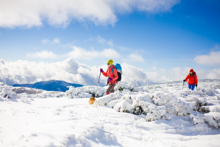 two girls are traveling with a dog in the mountains in winter, the snowy mountains during the winter holidays and mountaineering.
の写真素材