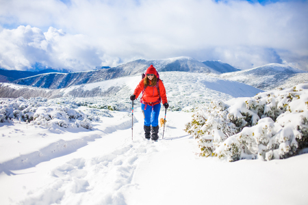 girl with dog walking on the trail in the mountains, winter in the mountains.の写真素材