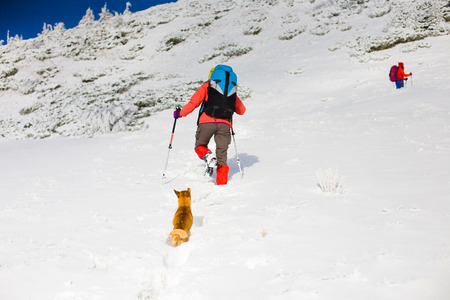 two girls are traveling with a dog in the mountains in winter, the snowy mountains during the winter holidays and mountaineering.
の写真素材