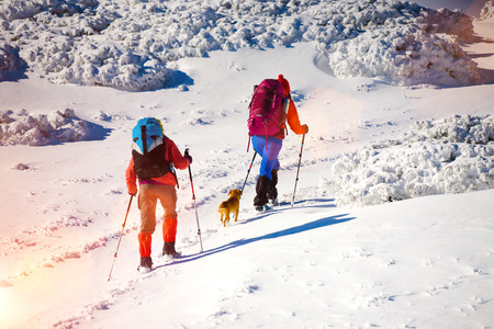 two girls are traveling with a dog in the mountains in winter, the snowy mountains during the winter holidays and mountaineering.
の写真素材