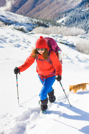 girl with dog walking on the trail in the mountains, winter in the mountains.の写真素材