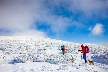two girls are traveling with a dog in the mountains in winter, the snowy mountains during the winter holidays and mountaineering.
の写真素材