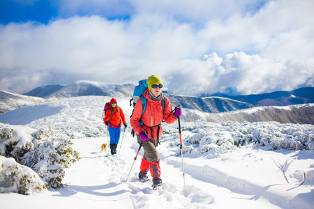 two girls are traveling with a dog in the mountains in winter, the snowy mountains during the winter holidays and mountaineering.
の写真素材