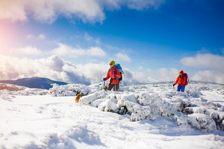 two girls are traveling with a dog in the mountains in winter, the snowy mountains during the winter holidays and mountaineering.
の写真素材