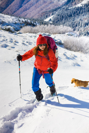 girl with dog walking on the trail in the mountains, winter in the mountains.の写真素材