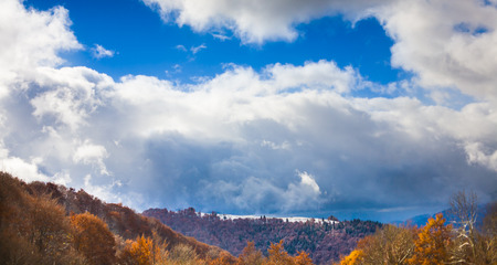 beautiful white clouds in the blue sky in autumn mountains with orange trees.の写真素材