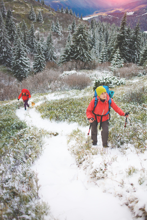 tourists walk in the snow in the mountains during the winter holidays in the mountains, winter in the Ukrainian Carpathians.
の写真素材