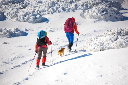 two girls are traveling with a dog in the mountains in winter, the snowy mountains during the winter holidays and mountaineering.
の写真素材