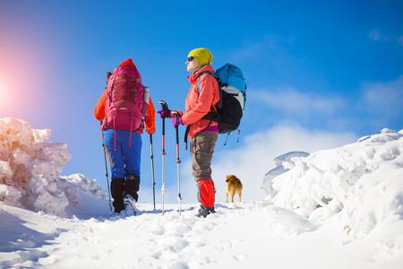 two girls are traveling with a dog in the mountains in winter, the snowy mountains during the winter holidays and mountaineering.
の写真素材