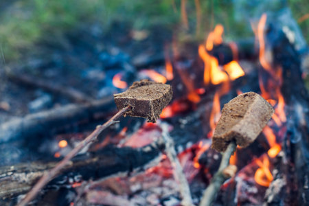 Rye bread is fried at the stake. Bread is strung on wooden sticks and is toasted at the stake. Picnic in nature. Rest in the open air. Cooking food in the forest.の写真素材
