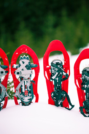 Snowshoes standing in the snow against the background of snow and mountains. Winter walks with forests and mountains.の写真素材