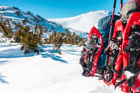 Blue backpack, red snow shoes and trekking poles stand in the snow on the background of spruce forest and mountain in winter.の写真素材