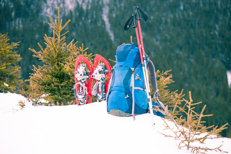 Blue backpack, red snow shoes and trekking poles stand in the snow on the background of spruce forest and mountain in winter.の写真素材