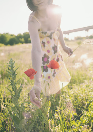 A girl is plucking a poppy. A woman is picking a bouquet of wildflowers in a meadow. Summer grass. A field with flowers.の写真素材