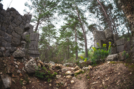 Ancient ruins in Turkey. The destroyed stone wall. Stone blocks and columns. Ruins among the pine forest. Fisheye lens.の写真素材