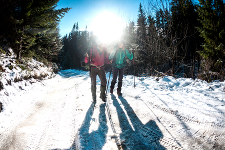 Two women in a winter hike. Girlfriends with trekking poles are on a snow covered mountain path. Girls with backpacks and snowshoes travel together. Friends walk on a sunny day through the fir forest.の写真素材