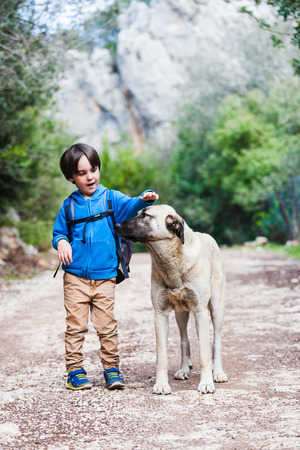 A boy with a backpack walks with the dog through the park. The child is petting the dog. Shepherd goes with its owner in the woods. Friendship pet and child.の写真素材