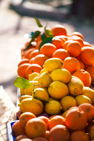 Ripe oranges in boxes. Harvesting citrus fruits. Fruit and vegetable market. Fresh oranges and lemons close up.の写真素材