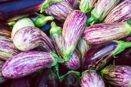 Striped eggplants on the market counter. Fresh vegetables in the Turkish bazaar. Violet vegetables close up.の写真素材