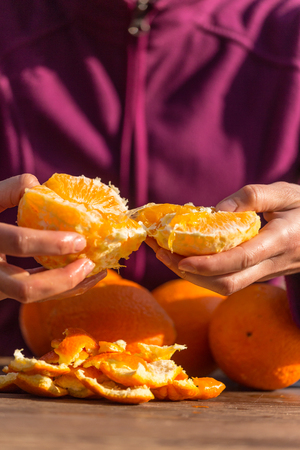Oranges in female hands close up. Peeled citrus fruits. Woman peels oranges from peel.の写真素材