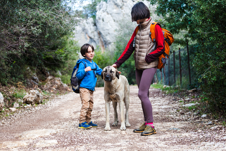 A child walks with mom and dog in the park. A boy with a backpack stroking a pet. Travel with children and animals. A woman walks with a sheepdog in the forest.の写真素材