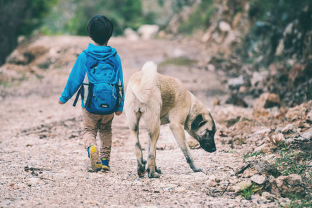 A boy with a backpack walks with the dog through the park. The child is petting the dog. Shepherd...