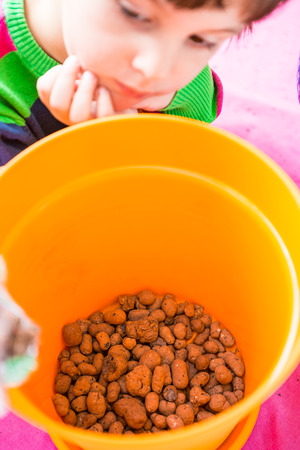 Drainage for indoor plants. Flower pot. Transplanting plants in a new container. The first layer of soil. A child learns to replant flowers. The boy grows home flowers.の写真素材