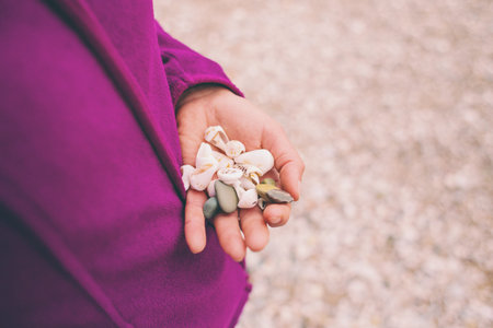 The girl collects sea stones and shells. Small pebbles in the female palm. Seashells in hand.