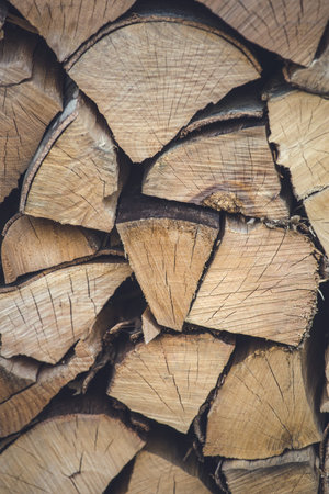 Preparation of firewood for the winter. firewood background, Stacks of firewood in the forest. Pile...
