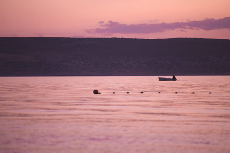 Fishing boat on a background of pink sunset. Sea coast at dawn.