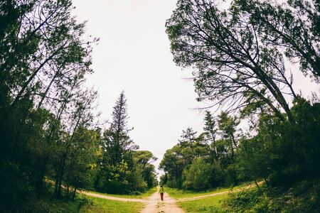 A woman stands at the crossroads of two forest roads. The girl at the crossroads. The choice of the path. Woman lost in the woods. The choice of ways to achieve the goal.の写真素材