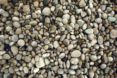Small round pebbles on the seashore. Gray stones. Background of pebbles. Ocean coast.