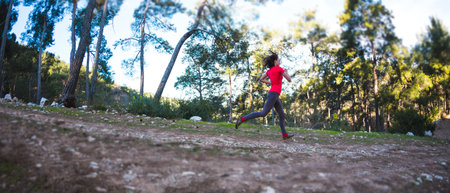A woman runs along a mountain trail. Runner is training in the forest. Girl jogging in the park. Skyrunning. Fisheye lens. Tilt-Shift effect.の写真素材