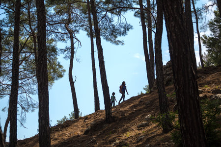 A woman walks with her son through the forest, The boy with his mother go hiking, Silhouette of a woman with backpack and a child against the sky, Travel with children, Mountain trail, Mothers Day.の写真素材