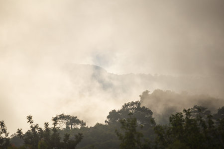 Low clouds over a mountain valley. Clouds fell on the mountains during the rain. The picturesque nature of Turkey.の写真素材
